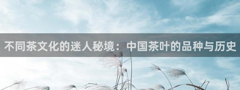 新鸿运股票平台